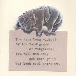 Tardigrade de ténacité drôle Carte de vœux | Carte de rétablissement Carte d'encouragement