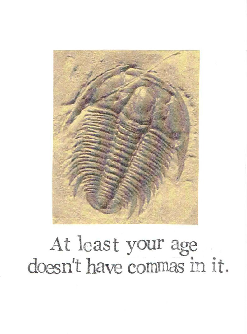 At Least Your Age Doesn't Have Commas Trilobite Fossil Birthday Card Science Natural History Paleontology Prehistoric Old Men Women image 1