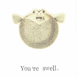 Vous êtes le poisson-globe gonflé de Zazzle.be Liste d'envies Vous avez des idées ? Biologie marine drôle Humour poisson Vintage étrange Animal poisson-globe Bizarreries Curiosités Merci Nature Ringard Jeu de mots