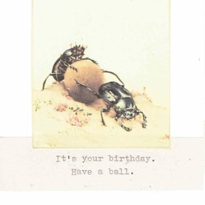 Carte d'anniversaire de bousier de Zazzle.be Liste d'envies Vous avez des idées ? Carte d'anniversaire drôle avec humour et humour bizarreries gothiques