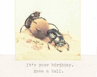 May include: A vintage birthday card featuring a drawing of two beetles rolling a ball. The card reads "It's your birthday. Have a ball."
