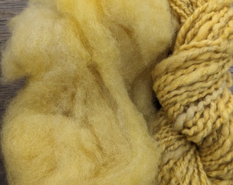 Dakota gold as yarn or carded wool - plant dyed #soulshine