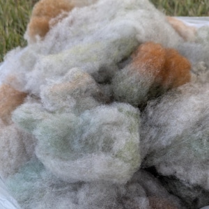 May include: A pile of raw, unspun wool fibers in a mix of white, light gray, and soft orange tones. The fibers have a fluffy, cloud-like texture and are contained within a clear plastic bag, showing a natural, unprocessed appearance throughout.