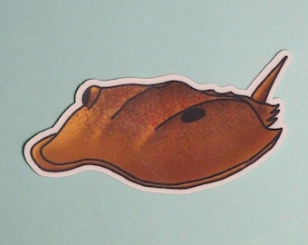 Horseshoe Crab Vinyl Sticker