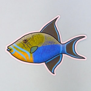 May include: A cartoon illustration of a blue, yellow, and orange triggerfish with brown fins and a black outline.