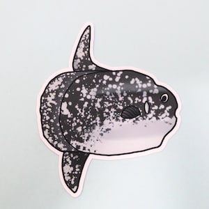 Mola Mola Vinyl Sticker
