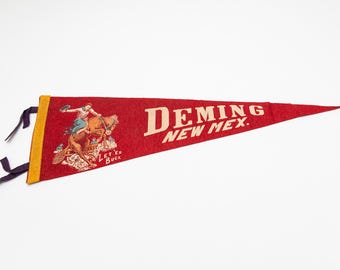 Vintage Deming New Mexico Rodeo Souvenir Felt Pennant