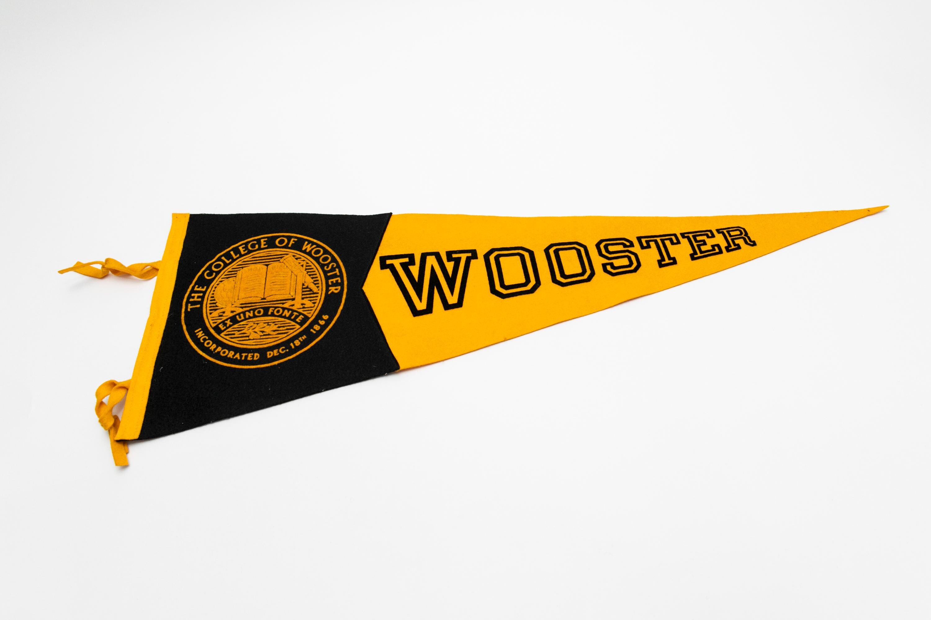 Large Vintage the College of Wooster Ohio Souvenir Felt Pennant - Etsy