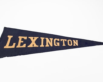 Large Early Vintage Lexington Kentucky Souvenir Felt Pennant