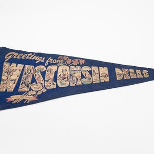 Large Vintage Wisconsin Dells Landmarks Souvenir Felt Pennant