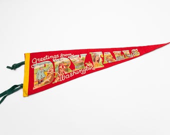 Vintage Dry Falls Washington Landmarks Souvenir Felt Pennant