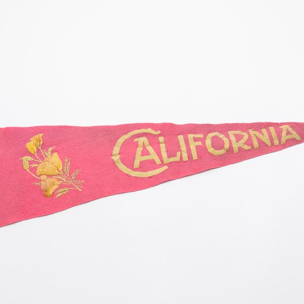 Incredible Early Vintage California Poppy Souvenir Felt Pennant