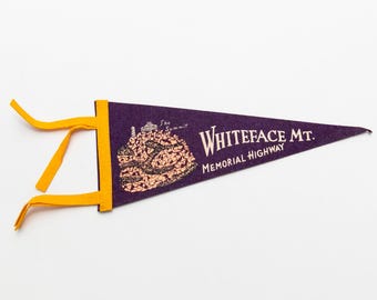 Vintage The Summit Whiteface Mountain Memorial Highway Souvenir Felt Pennant