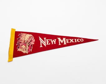 Vintage New Mexico Souvenir Felt Pennant
