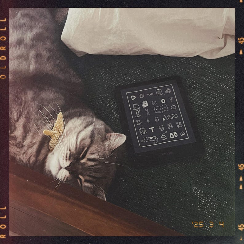 May include: A gray and white tabby cat is sleeping on a brown surface with a black e-reader that says "Do Not Disturb" in white text. The e-reader has a variety of small icons around the text.