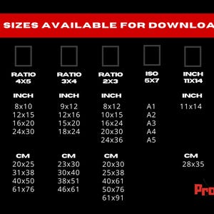 Sizing chart showcasing five available aspect ratios for the digital print. Ensures customers can choose the perfect size for framing and display.