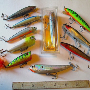Outdoor Fish Market - Etsy Outdoor Fish Market - Etsy