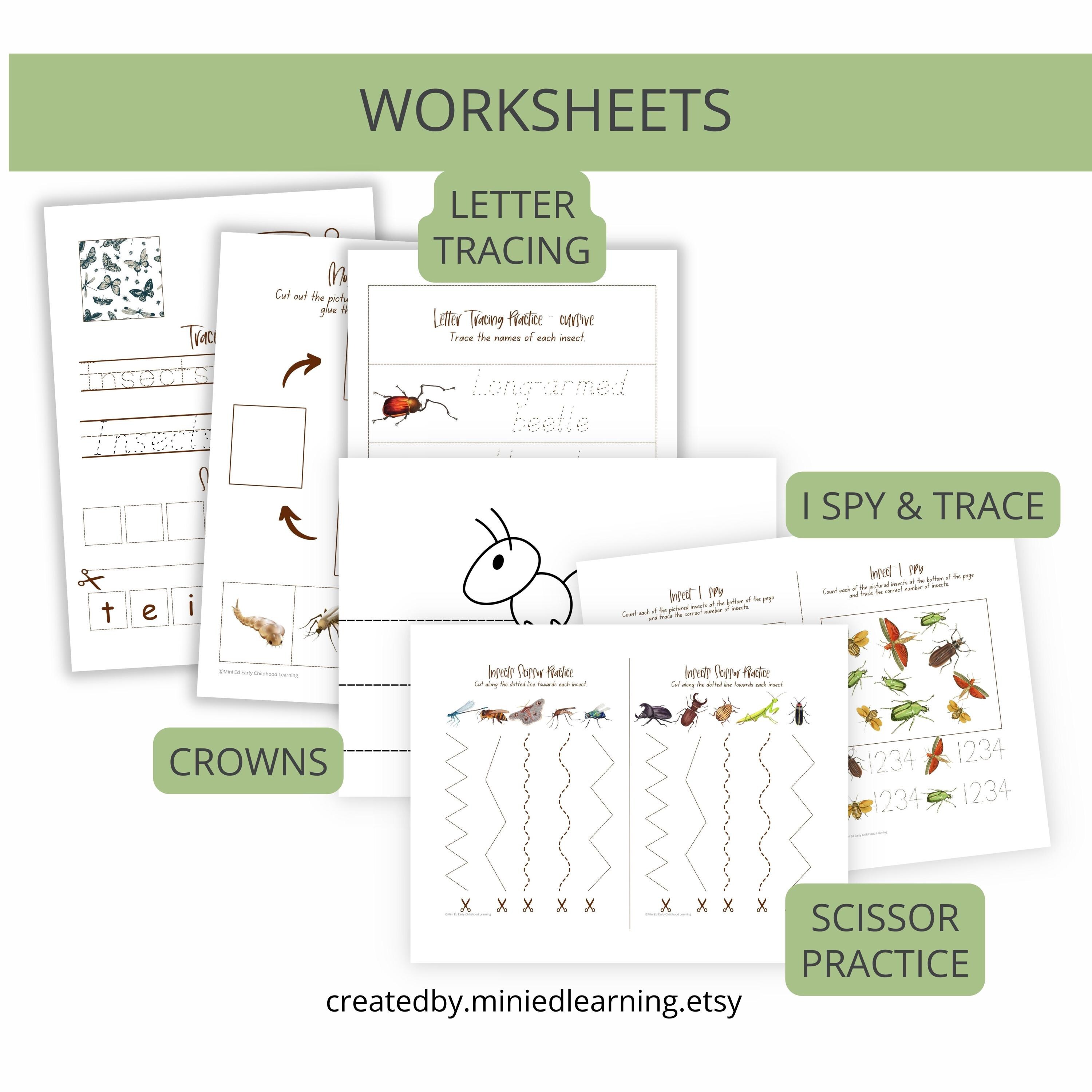 Insect Activity Books Insect Activities | Spiral Bound Book | Early Childhood Printables ...