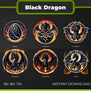 May include: A set of six black dragon illustrations in different stages of growth. The dragon starts as an egg, then hatches, grows wings, and finally becomes a fully grown dragon. The illustrations are set against a background of flames.