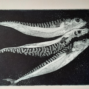 Original handmade print, &#39;Mackerel&#39;, etching and aquatint, black on white paper, also available in dark blue, signed, numbered edition