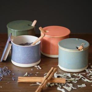 Salt Cellar with Lid and Spoon – Sugar Bowl, Spice Container, Handmade Ceramics