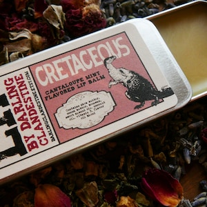 PREORDER: Cretaceous cantaloupe mint flavored handcrafted lip balm image 1