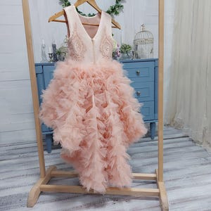 Dress with Ruffles and Train, Peach Girl Dress, Tulle Birthday Dress, Flower Girl Dress, Long Formal Elegant Evening Dress with Lace