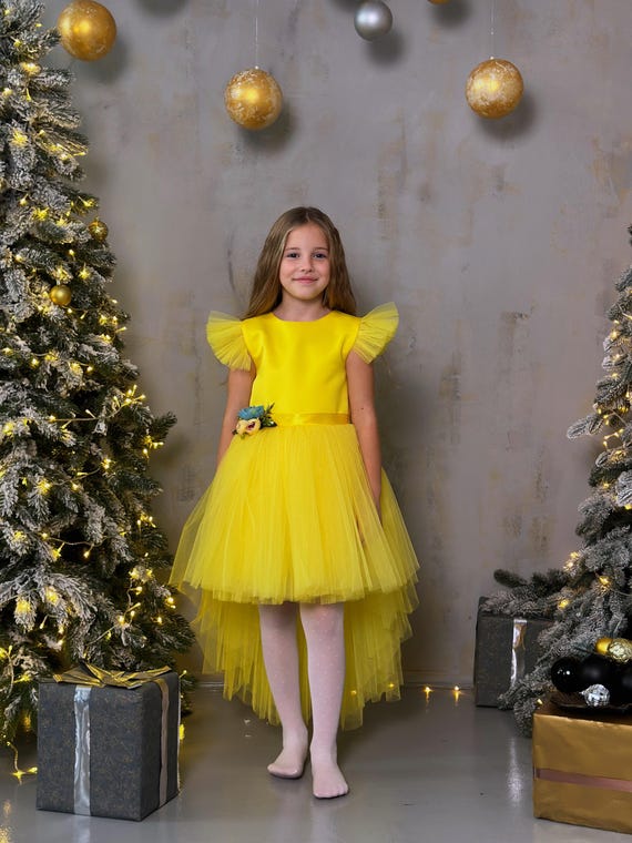 Luxurious Children's Dress With a Train, Communion Dress