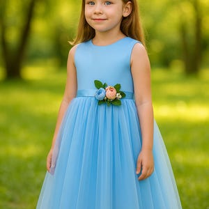 May include: A sleeveless, light blue dress with a tulle skirt. The dress features a satin bodice and a ribbon belt adorned with fabric flowers in shades of blue and pink. The girl is standing in a grassy area.