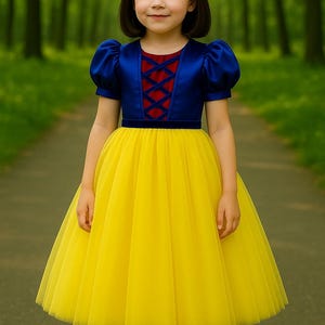 Snow White style dress for girls - satin bodice, velvet belt and tulle skirt - princess costume - Birthday party dress
