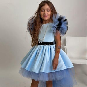 bluey princess dress Bluey Toddler Girl Tiered Tutu Dress with 3D Butterflies, Sizes 12M-5T