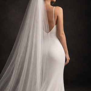 Può includere: Un abito da sposa bianco, lungo fino al pavimento, con schiena scoperta e spalline sottili. Un lungo velo trasparente è attaccato alla parte posteriore della testa. L'abito ha un design semplice ed elegante.