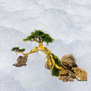 May include: A miniature bonsai tree with green foliage and exposed roots, perched on a cluster of rocks. The tree's trunk is a light brown color, and the rocks are a mix of brown and tan. The background is a soft, white, bubbly texture.