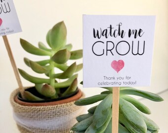 Auto Download Mini Succulent "Watch Me Grow" Printable Favor Tags