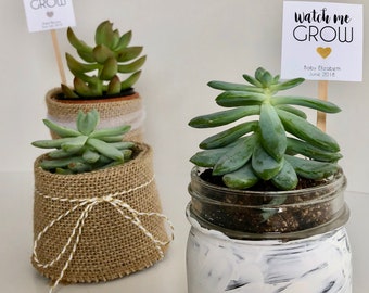 Printable Custom Mini Succulent "Watch Me Grow" Gold or Silver heart - Favor Plant Sticks - Printed & Shipped
