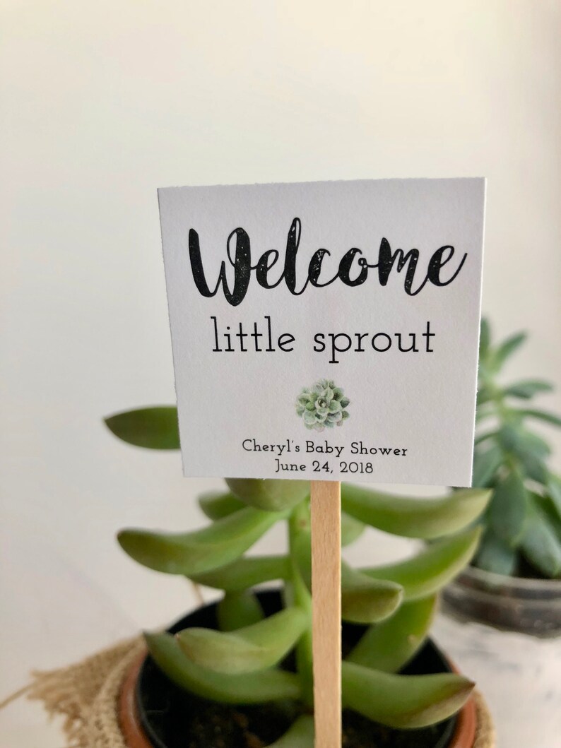 baby shower favors little sprout baby shower theme