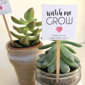 Imprimable I Plantes succulentes en bâtons I Imprimable à la maison Je me regarde grandir I Étiquettes préférées I Articles de fête