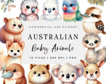 Clipart di animali australiani ad acquerello e illustrazioni di uccelli (download digitale)