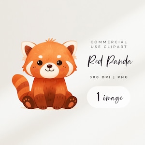 Cute Red Panda Png Watercolor Red Panda Clipart Cute Animal Clipart Commercial Use Digital Download
