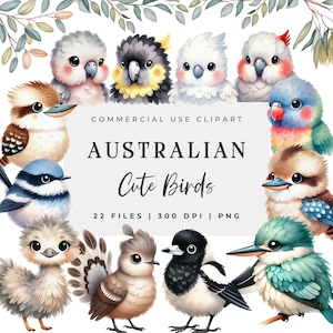 Uccelli australiani Png Illustrazioni di uccelli Kookaburra Clipart Download digitale Uccelli australiani Acquerello Clipart