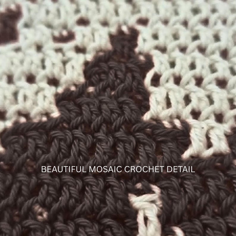 May include: A close-up of a textile featuring a two-tone mosaic crochet pattern in dark brown and off-white yarn. The intricate interlocking stitches create a geometric design. The text BEAUTIFUL MOSAIC CROCHET DETAIL is printed in white.
