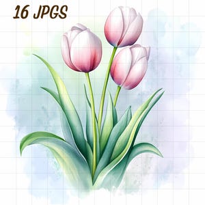 16 Spring flower clipart, Watercolor floral plant, Colorful bloom JPG, Vibrant summer, Garden blossom, Botanical wildflower, Gardening lover