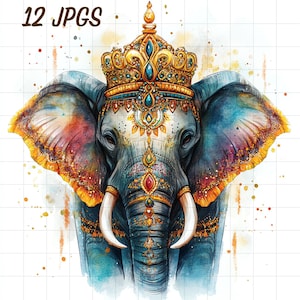 12 Clipart di elefante di lusso, animale acquerello, safari colorato JPG, design amante della giungla, foresta di Bali, natura esotica, bello, meraviglioso