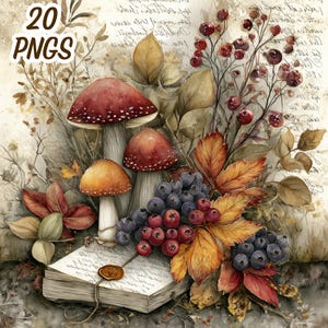 Può includere: Un'illustrazione con funghi rossi e arancioni, grappoli di bacche rosse e blu e foglie autunnali attorno a un vecchio libro con un sigillo di ceralacca. Il testo 20 PNGS appare in alto a sinistra e artistry creation art in basso a destra.