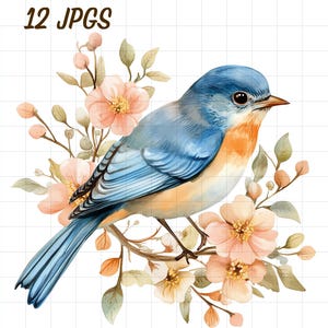 12 imágenes prediseñadas de pájaro azul vintage, animal pájaro azul de acuarela, flor pastel JPG, linda floración floral, vida silvestre de aves coloridas, naturaleza botánica