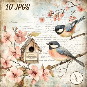Pacchetto di 10 clipart di uccelli da giardino, diario di natura floreale in formato JPG, carta shabby chic, pagina di scrapbooking con fiori acquerellati, diario di animali