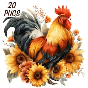 May include: A watercolour illustration of a cockerel with a red comb and yellow, orange, and black feathers, surrounded by sunflowers and other flowers. The image includes the text "20 PNGs".