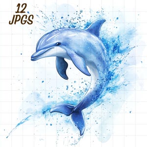 12 イルカのクリップアート、水彩野生動物 JPG、海洋生物愛好家、かわいい赤ちゃん動物、青い海、海岸、水生自然、水族館の魚