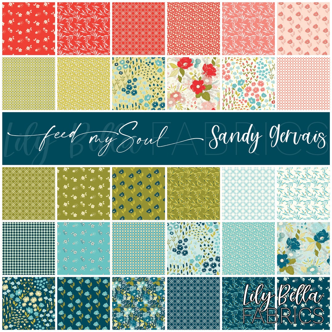 Feed My Soul Rolie Polie 40 Pcs by Sandy Gervais for Riley Blake - Etsy