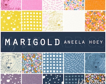 Marigold Jelly Roll (40 pcs) by Aneela Hoey for Moda